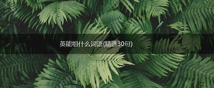 英能组什么词语(精选30句),第1张