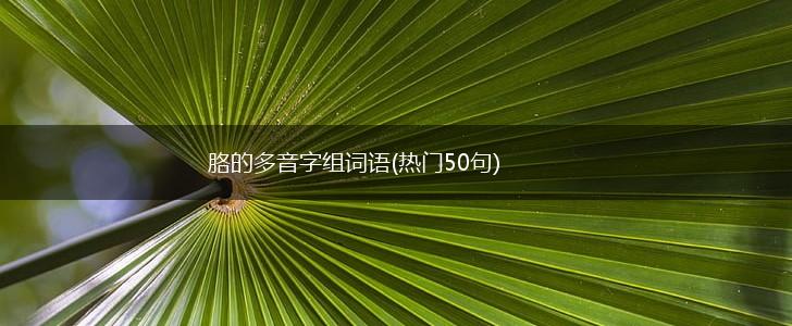 胳的多音字组词语(热门50句),第1张