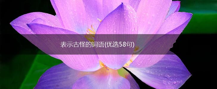 表示古怪的词语(优选58句),第1张
