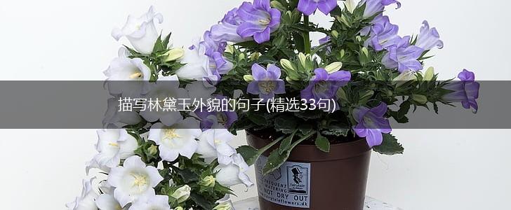 描写林黛玉外貌的句子(精选33句),第1张