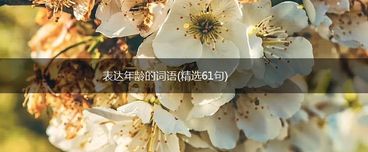 表达年龄的词语(精选61句),第1张