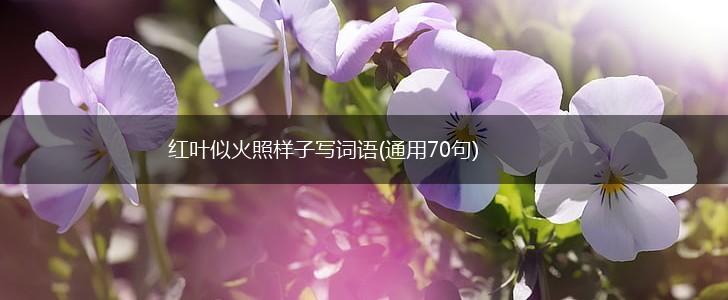 红叶似火照样子写词语(通用70句),第1张