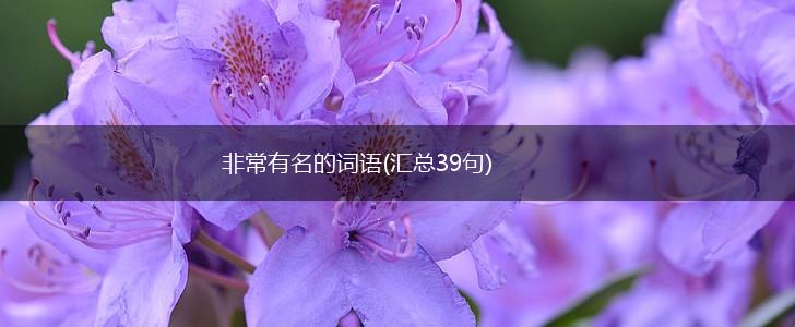非常有名的词语(汇总39句),第1张