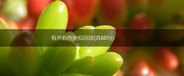 有声有色类似词语(共60句),第1张