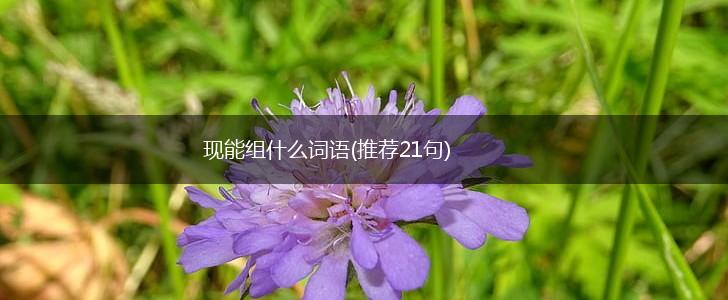 现能组什么词语(推荐21句),第1张