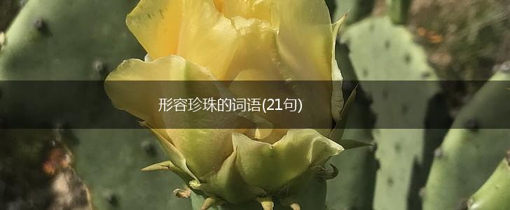 形容珍珠的词语(21句),第1张