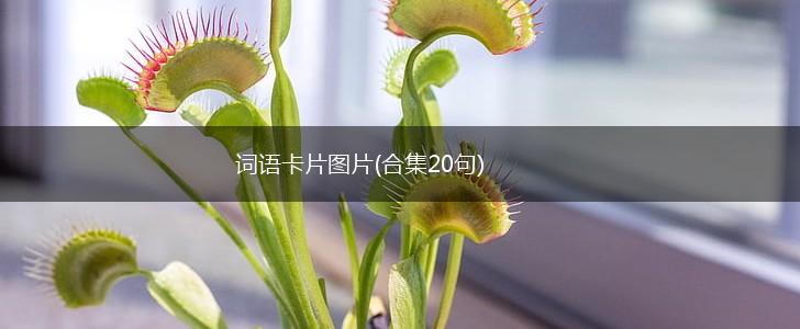 词语卡片图片(合集20句),第1张
