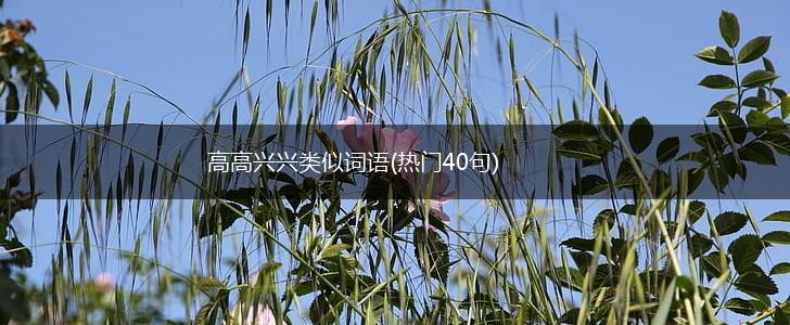 高高兴兴类似词语(热门40句),第1张