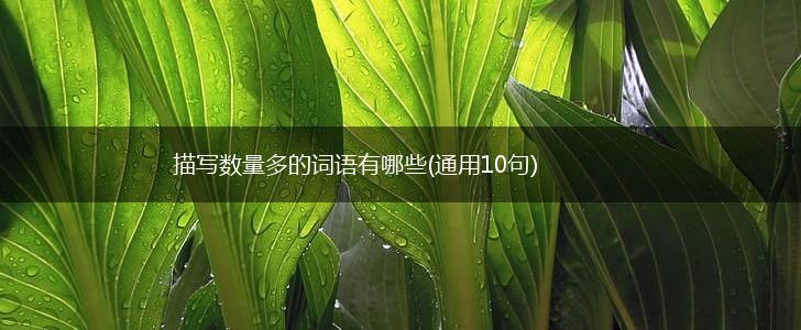 描写数量多的词语有哪些(通用10句),第1张