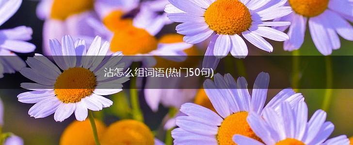沾怎么组词语(热门50句),第1张