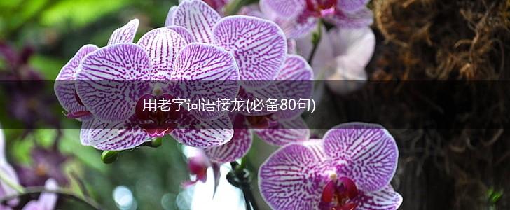 用老字词语接龙(必备80句),第1张