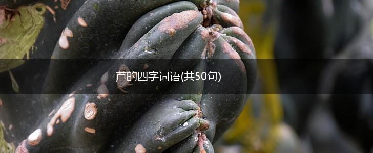 芦的四字词语(共50句),第1张