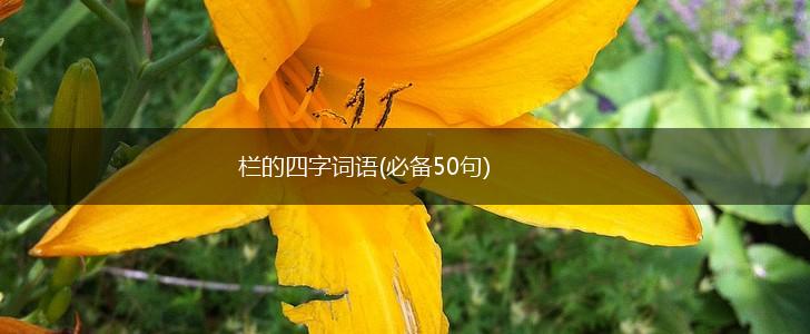 栏的四字词语(必备50句),第1张