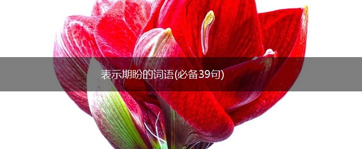 表示期盼的词语(必备39句),第1张