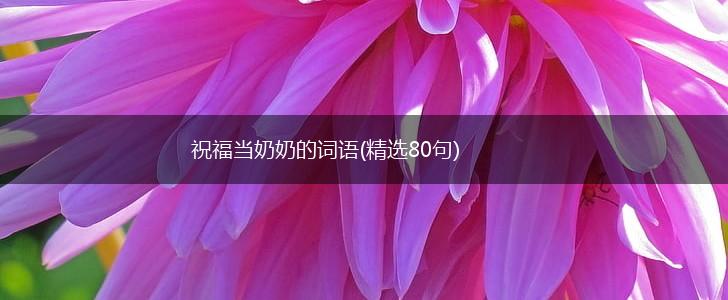 祝福当奶奶的词语(精选80句),第1张