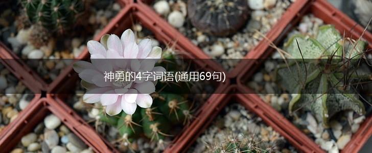 神勇的4字词语(通用69句),第1张