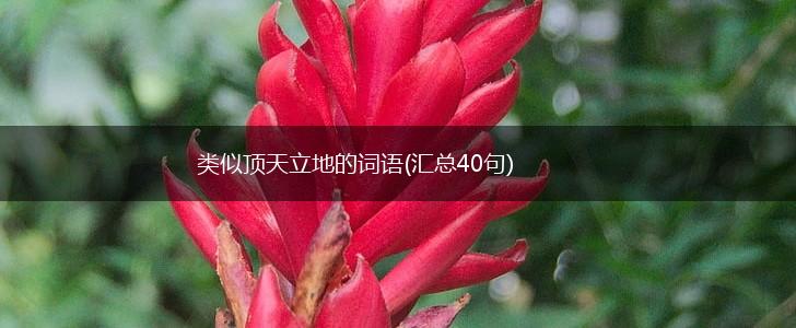 类似顶天立地的词语(汇总40句),第1张
