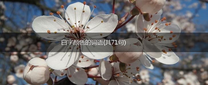 白字颜色的词语(共71句),第1张