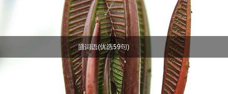 盛词语(优选59句),第1张