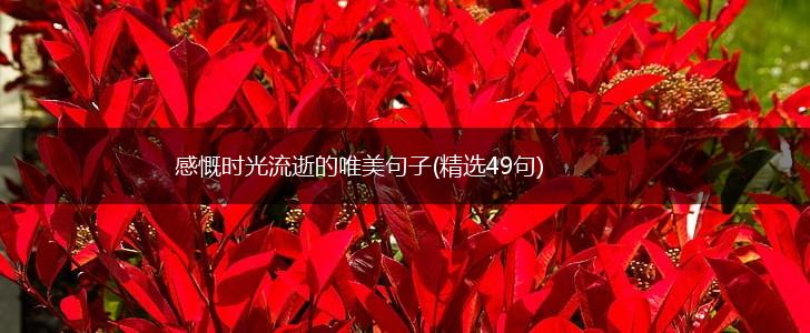 感慨时光流逝的唯美句子(精选49句),第1张