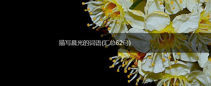 描写晨光的词语(汇总62句),第1张