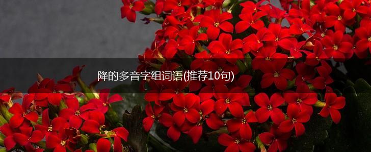 降的多音字组词语(推荐10句),第1张