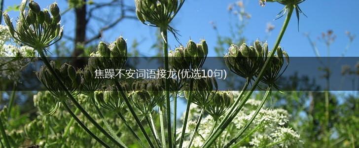 焦躁不安词语接龙(优选10句),第1张