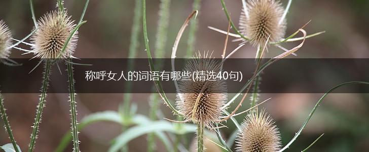 称呼女人的词语有哪些(精选40句),第1张