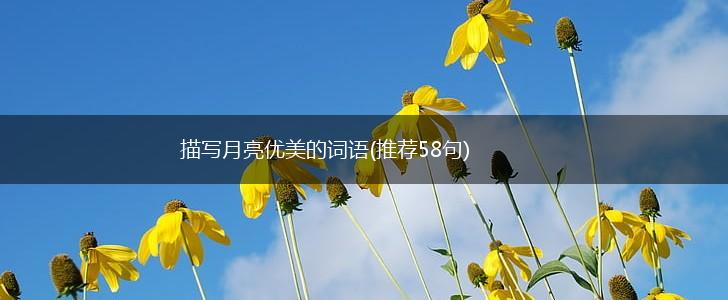 描写月亮优美的词语(推荐58句),第1张
