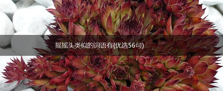 摇摇头类似的词语有(优选56句),第1张