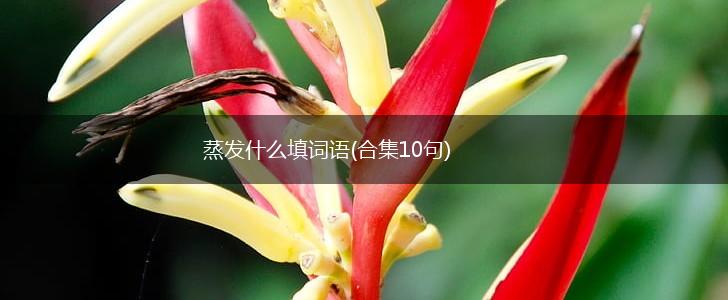 蒸发什么填词语(合集10句),第1张