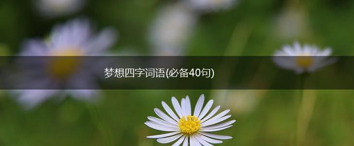 梦想四字词语(必备40句),第1张
