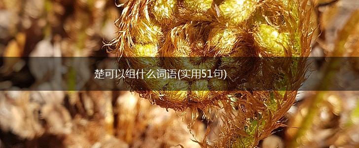 楚可以组什么词语(实用51句),第1张