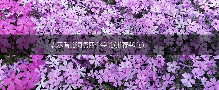 表示看的词语四个字的(推荐40句),第1张