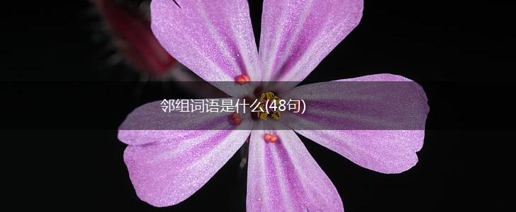 邻组词语是什么(48句),第1张
