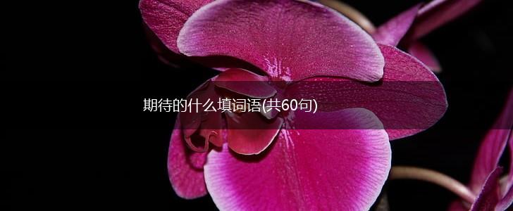 期待的什么填词语(共60句),第1张