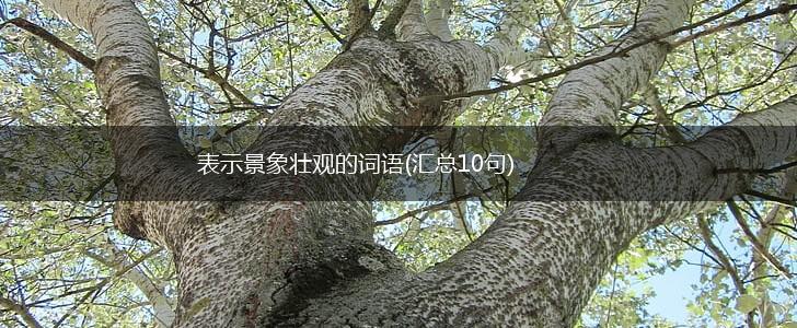 表示景象壮观的词语(汇总10句),第1张