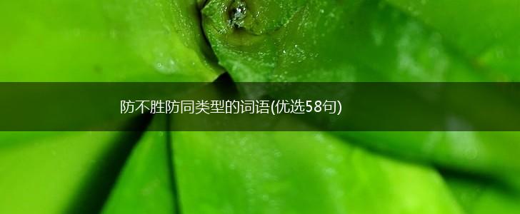 防不胜防同类型的词语(优选58句),第1张