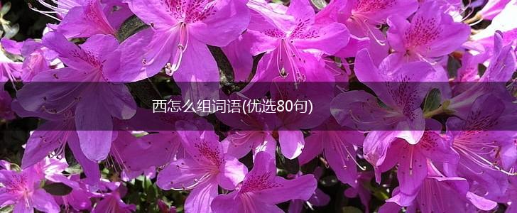 西怎么组词语(优选80句),第1张