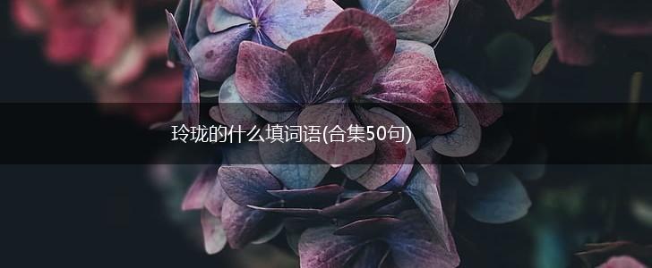 玲珑的什么填词语(合集50句),第1张