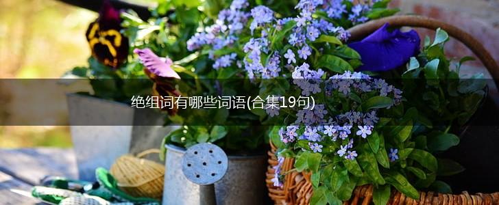 绝组词有哪些词语(合集19句),第1张