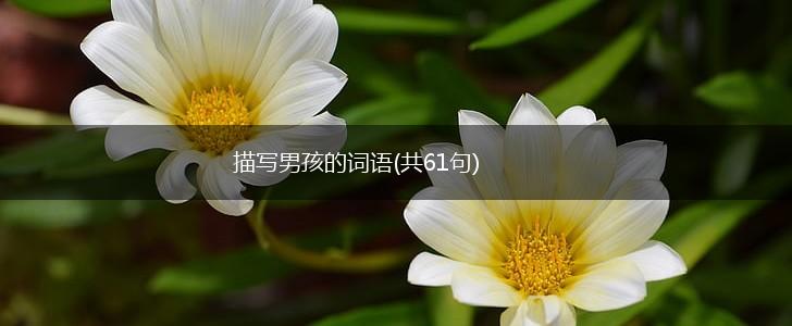 描写男孩的词语(共61句),第1张