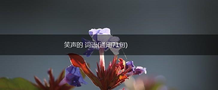 笑声的 词语(通用71句),第1张