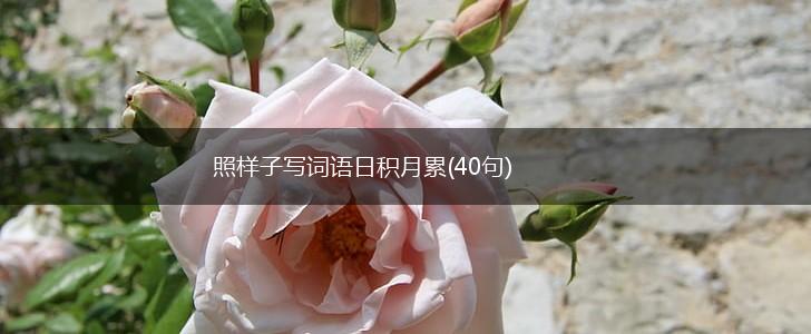 照样子写词语日积月累(40句),第1张