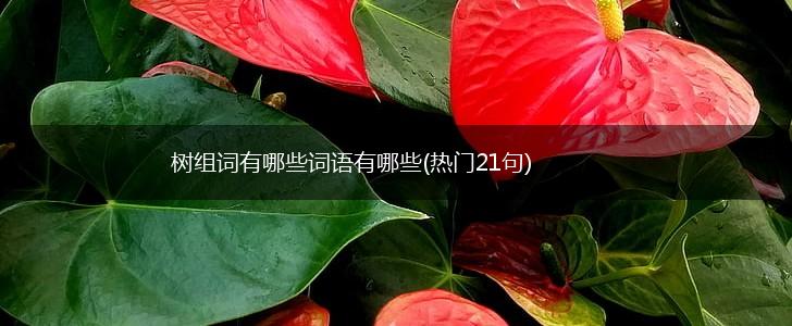 树组词有哪些词语有哪些(热门21句),第1张