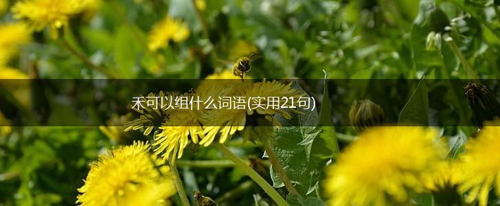 禾可以组什么词语(实用21句),第1张
