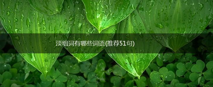 淡组词有哪些词语(推荐51句),第1张