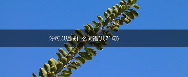 泞可以组成什么词语(共71句),第1张