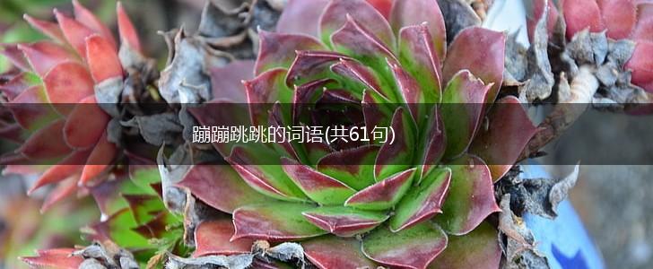 蹦蹦跳跳的词语(共61句),第1张