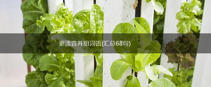 更读音并组词语(汇总68句),第1张